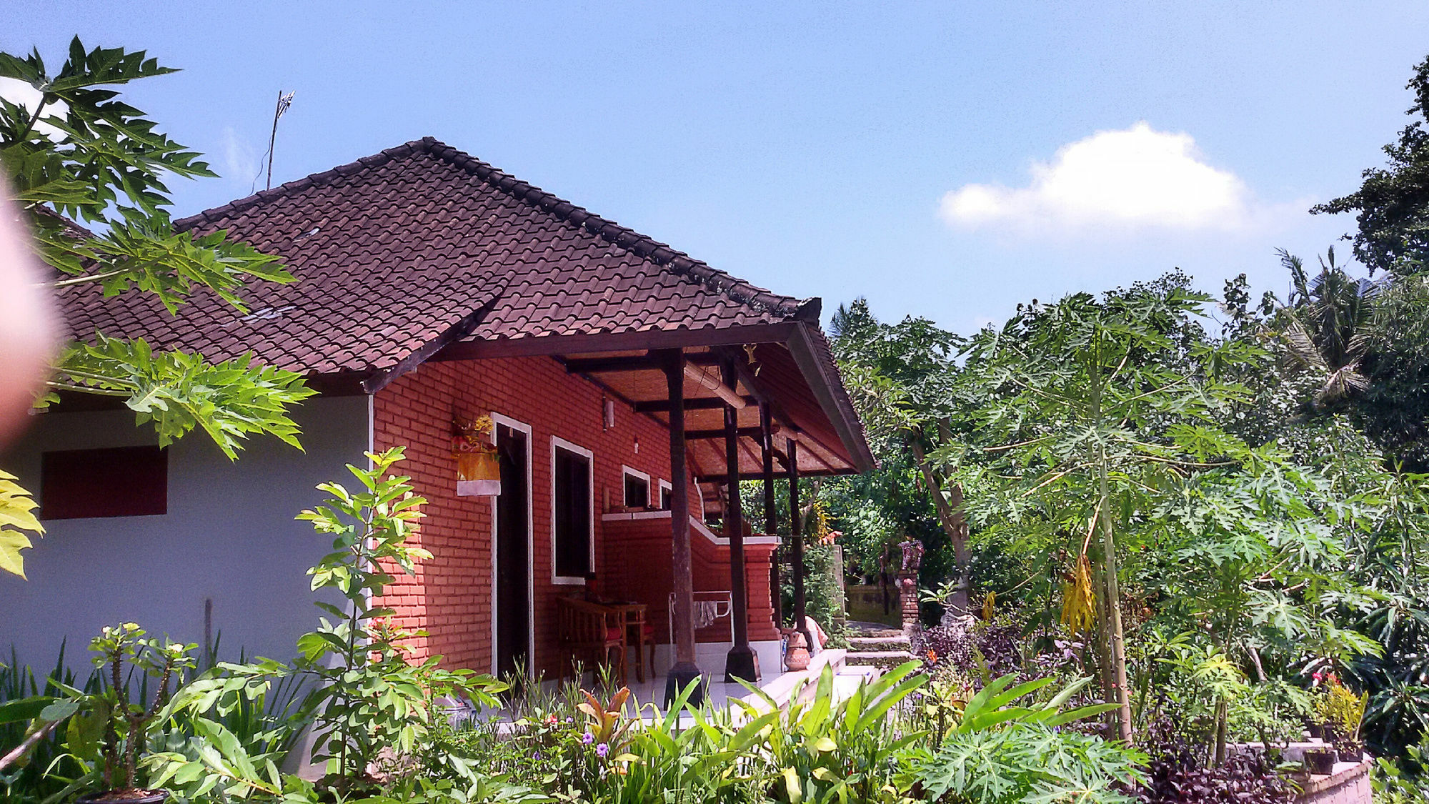 Karma House Apartment อูบุด ภายนอก รูปภาพ